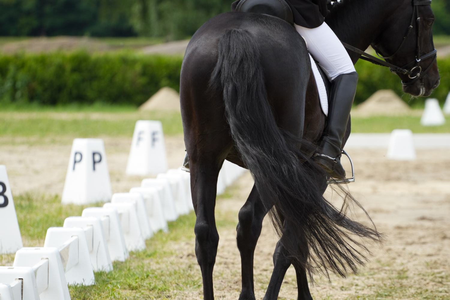 Felieton: dekada ujeżdżenia na Pomorzu