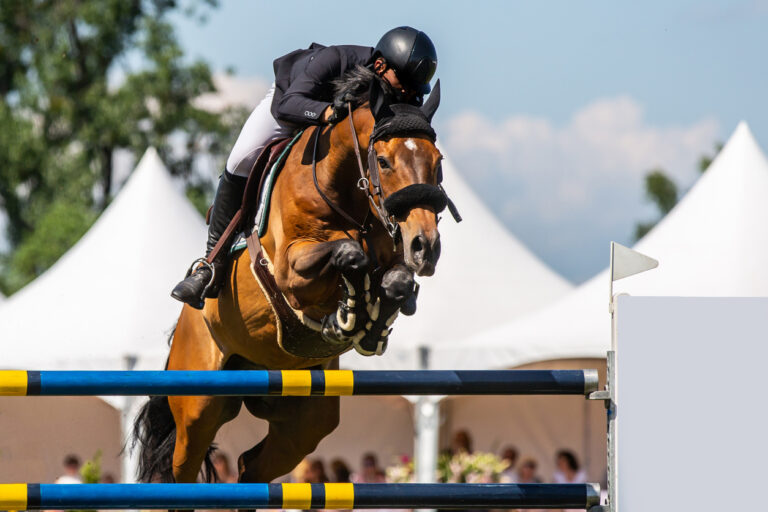 Uczciwa cena – ile wart jest mój koń?