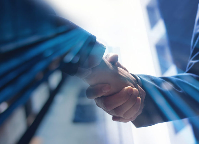 Sprzedaż konia: dlaczego uścisk dłoni już nie wystarczy?